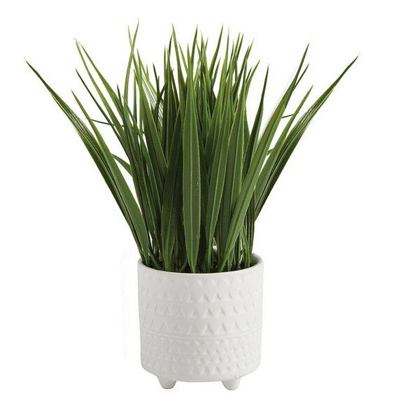 47th & Main DMR427 Grass In Footed Pot