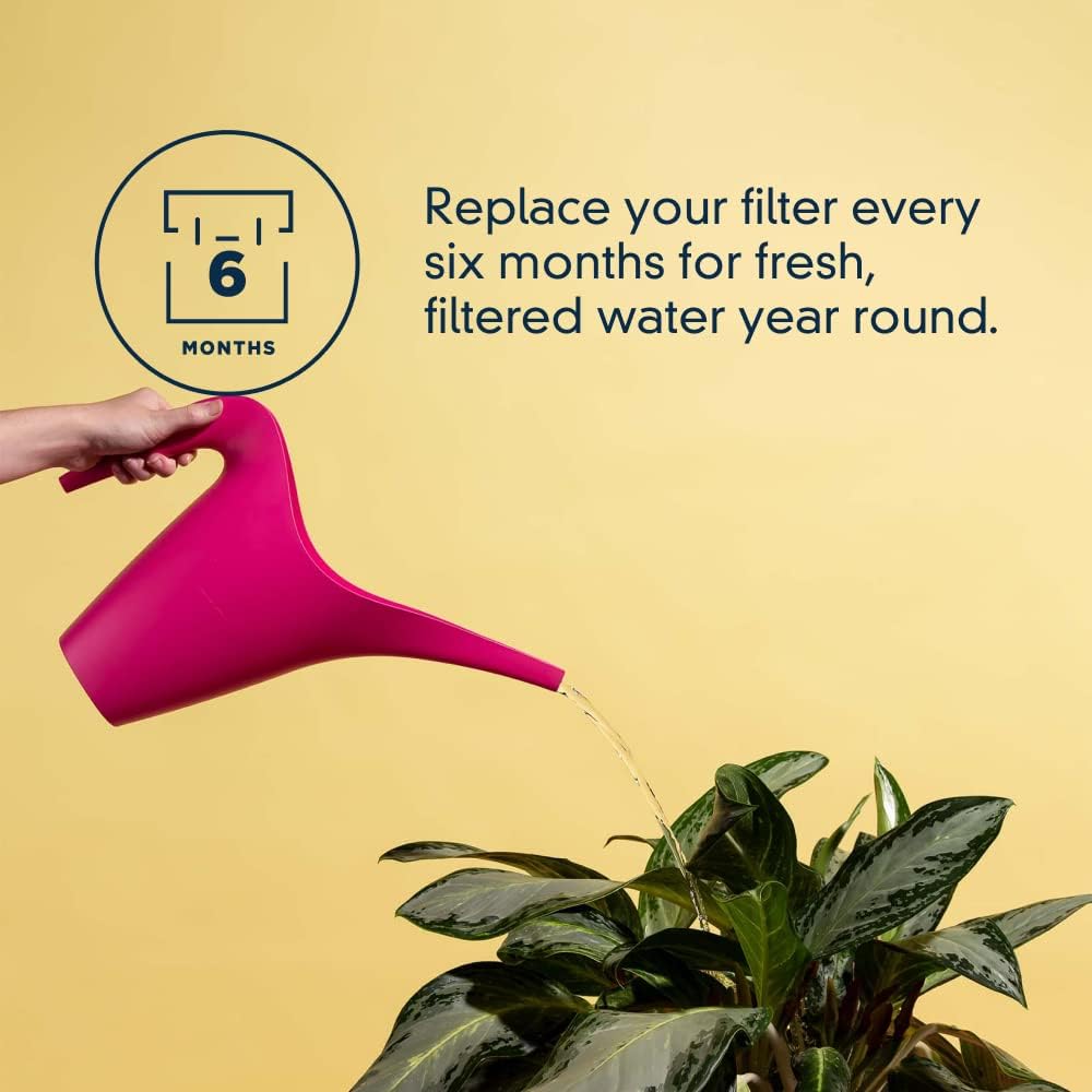 Everydrop Filtro de Agua para Nevera