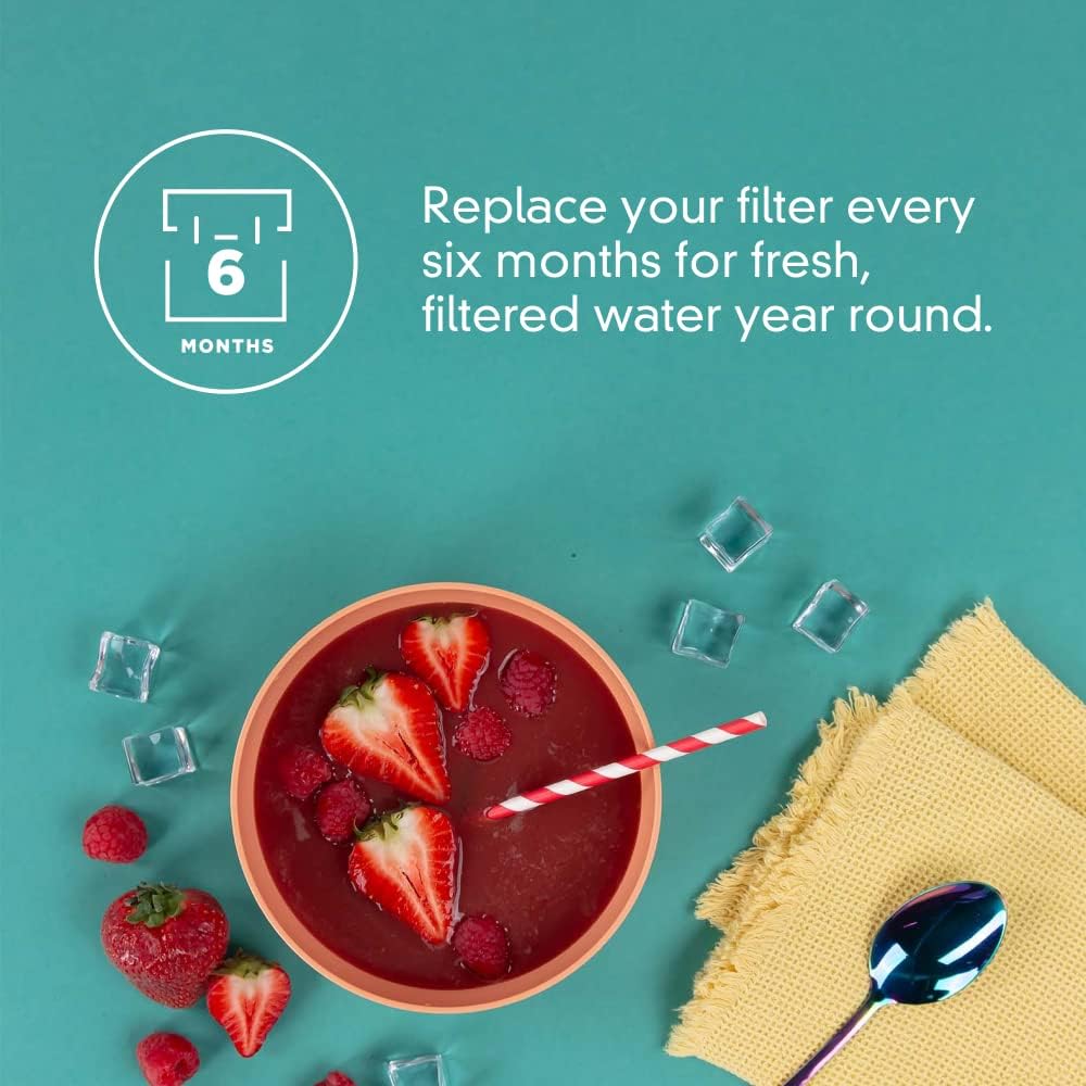 Everydrop Filtro de Agua para Nevera