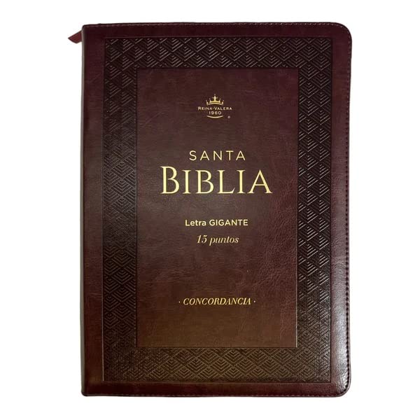 RVR 1960 Santa Biblia  Letra Gigante