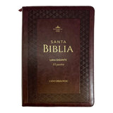 RVR 1960 Santa Biblia  Letra Gigante
