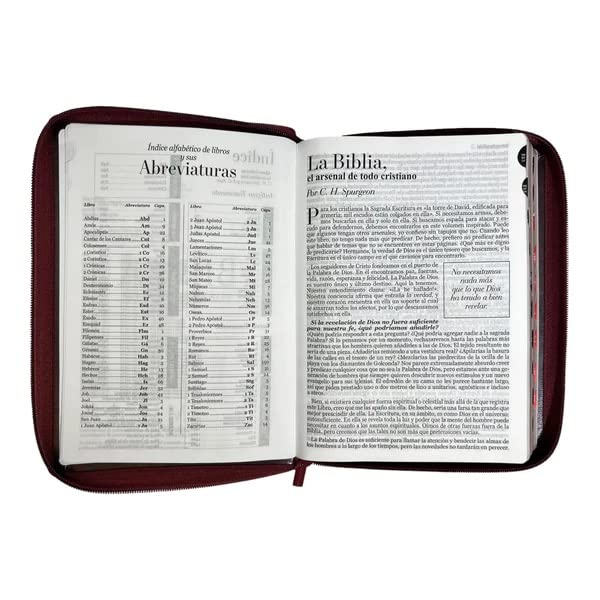 RVR 1960 Santa Biblia  Letra Gigante