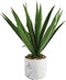 Decoraciones