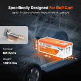 Batería de Litio LiFePO4 48V (51.2V) 150Ah para Carritos de Golf - Temgo